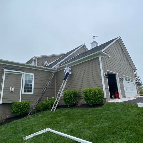 Professional Painters in Middletown, VA